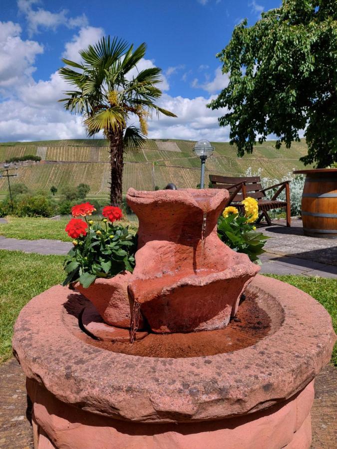 برونبيبيرغ Weingut Licht-Stadtfeld المظهر الخارجي الصورة
