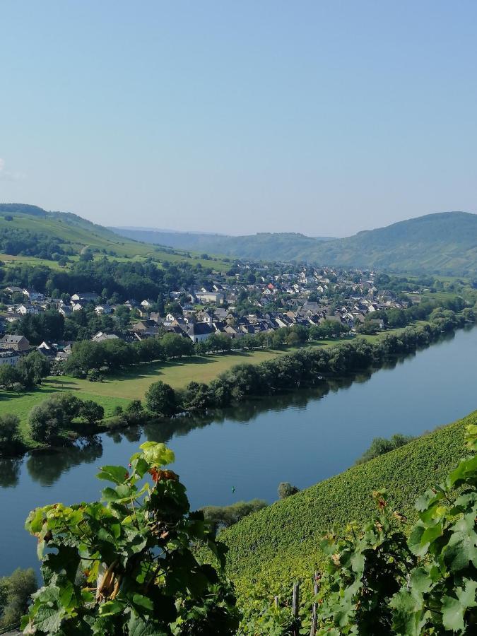 برونبيبيرغ Weingut Licht-Stadtfeld المظهر الخارجي الصورة
